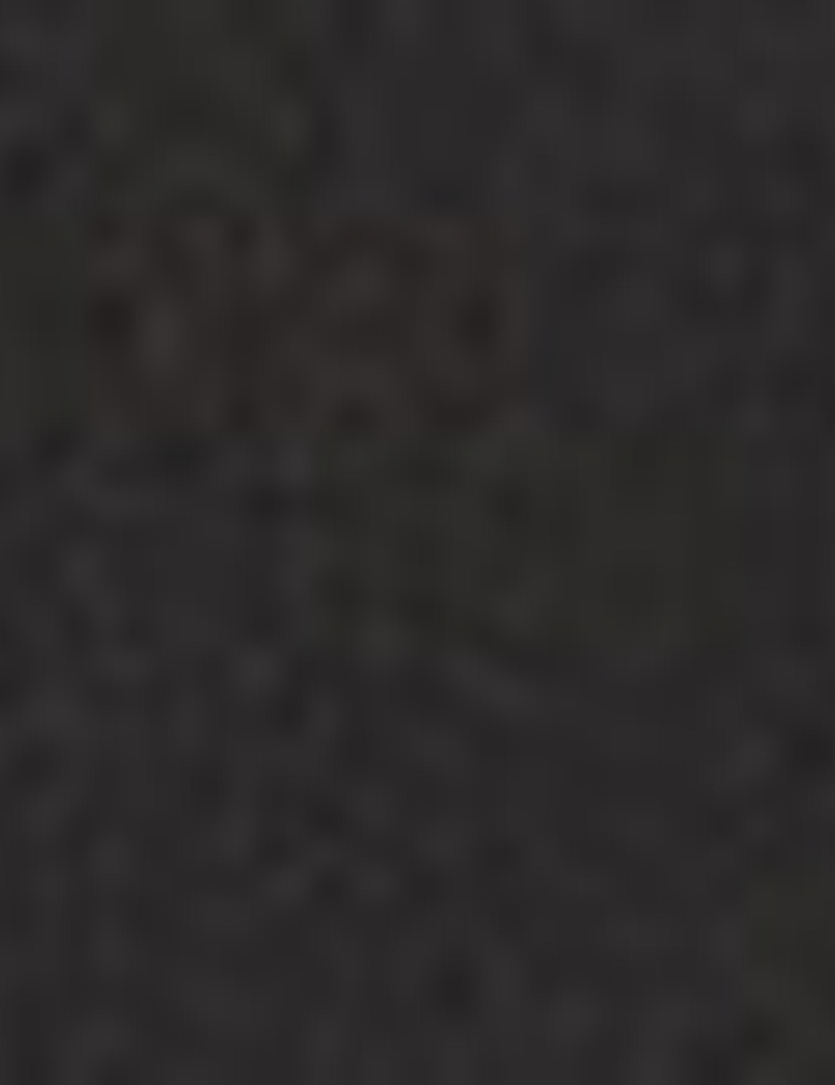 Siyah Regular Fit Kısa Kollu Gömlek