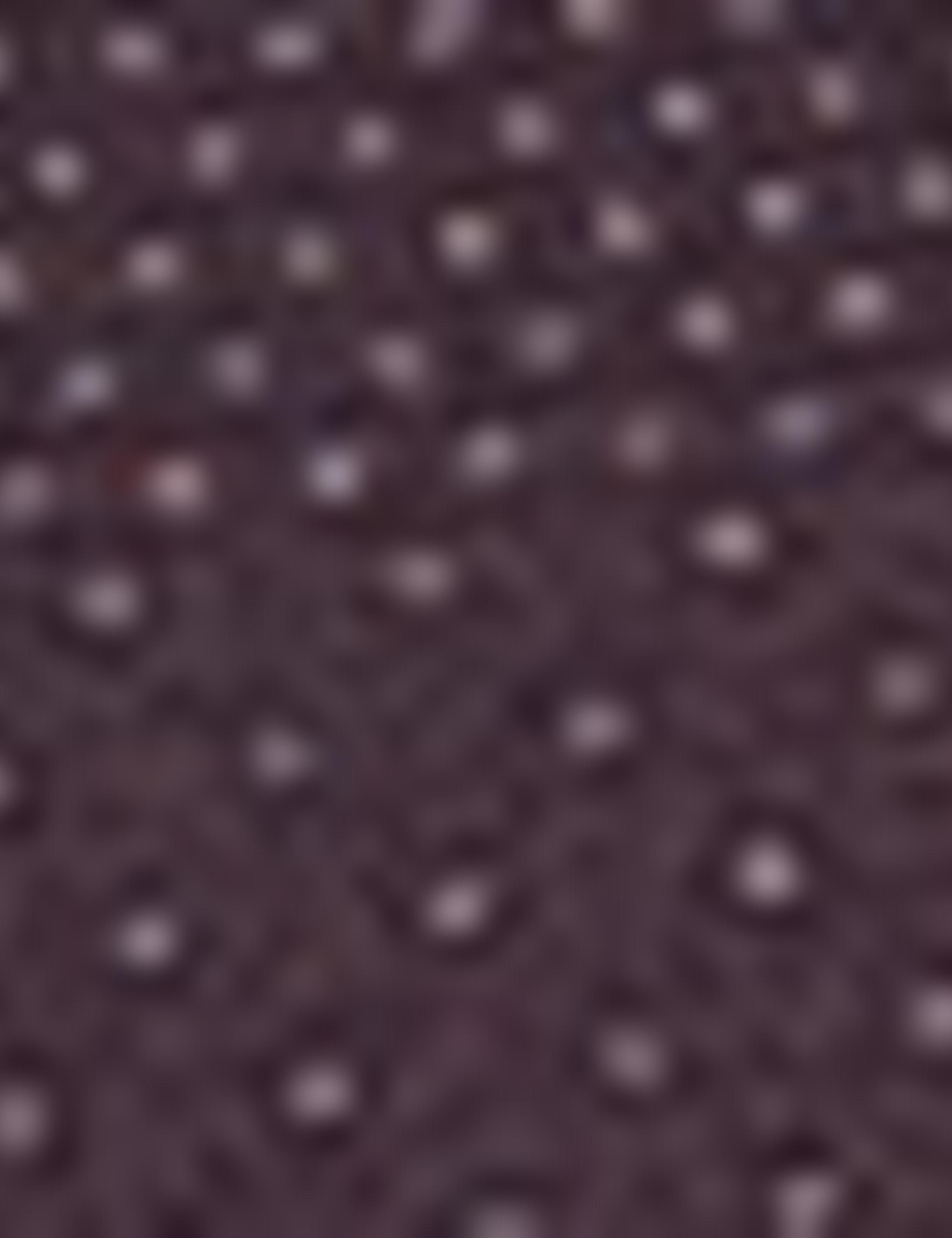 Bordo Slim Fit Gömlek