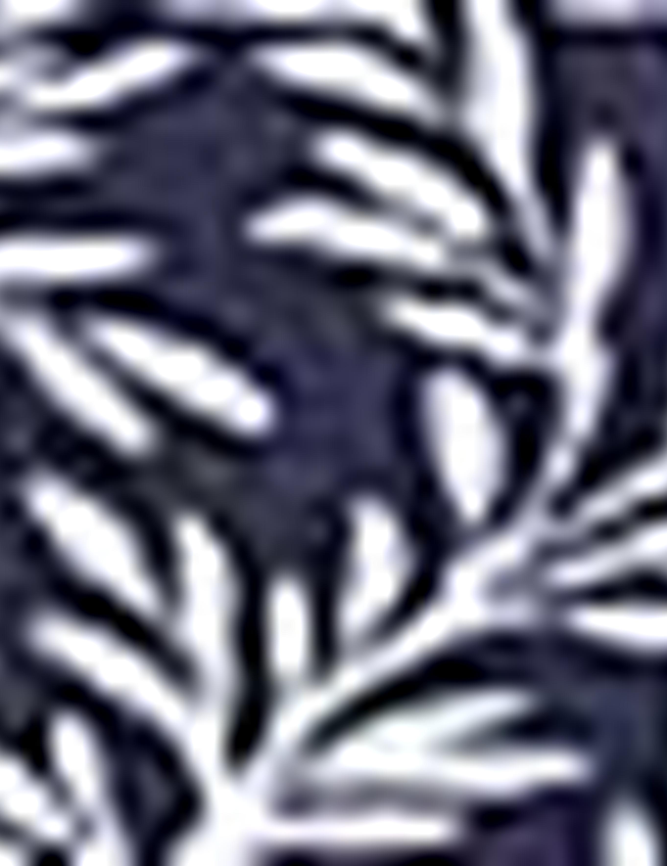 Koyu Mavi Slim Fit Gömlek