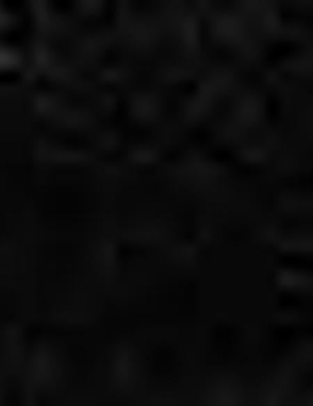 Siyah Kaşkol - 50205340001