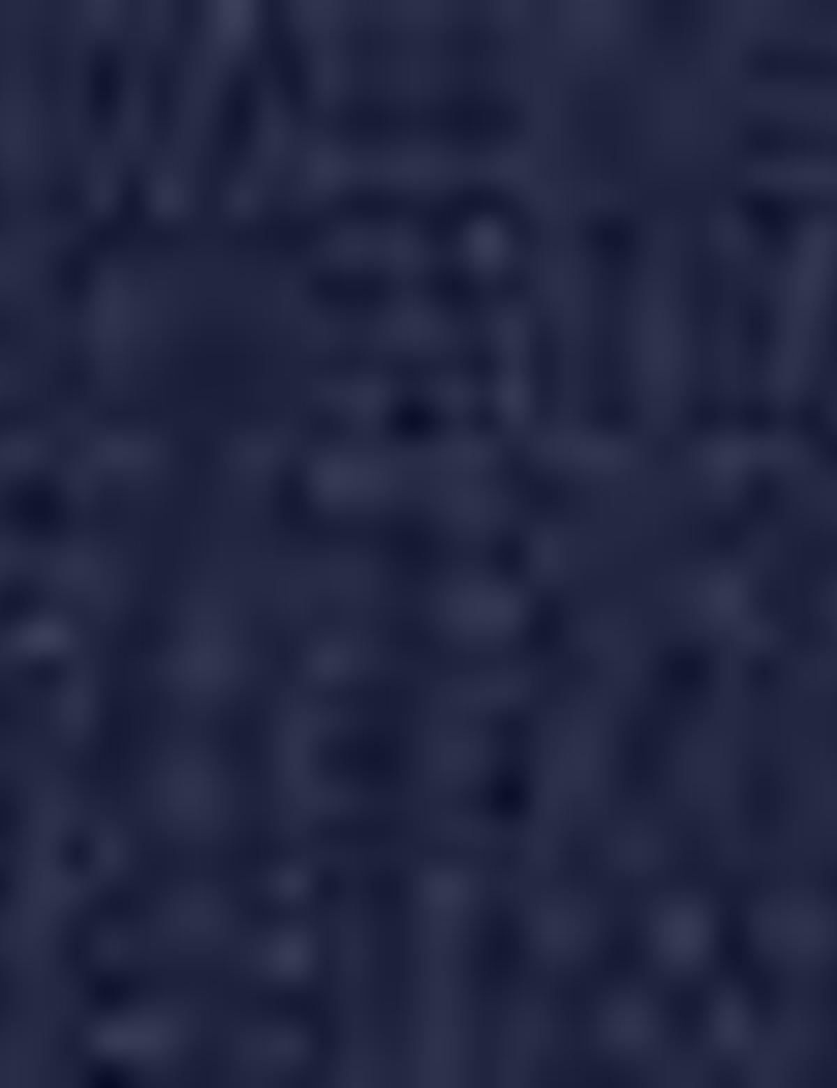 Lacivert Slim Fit Ceket - 50205359002