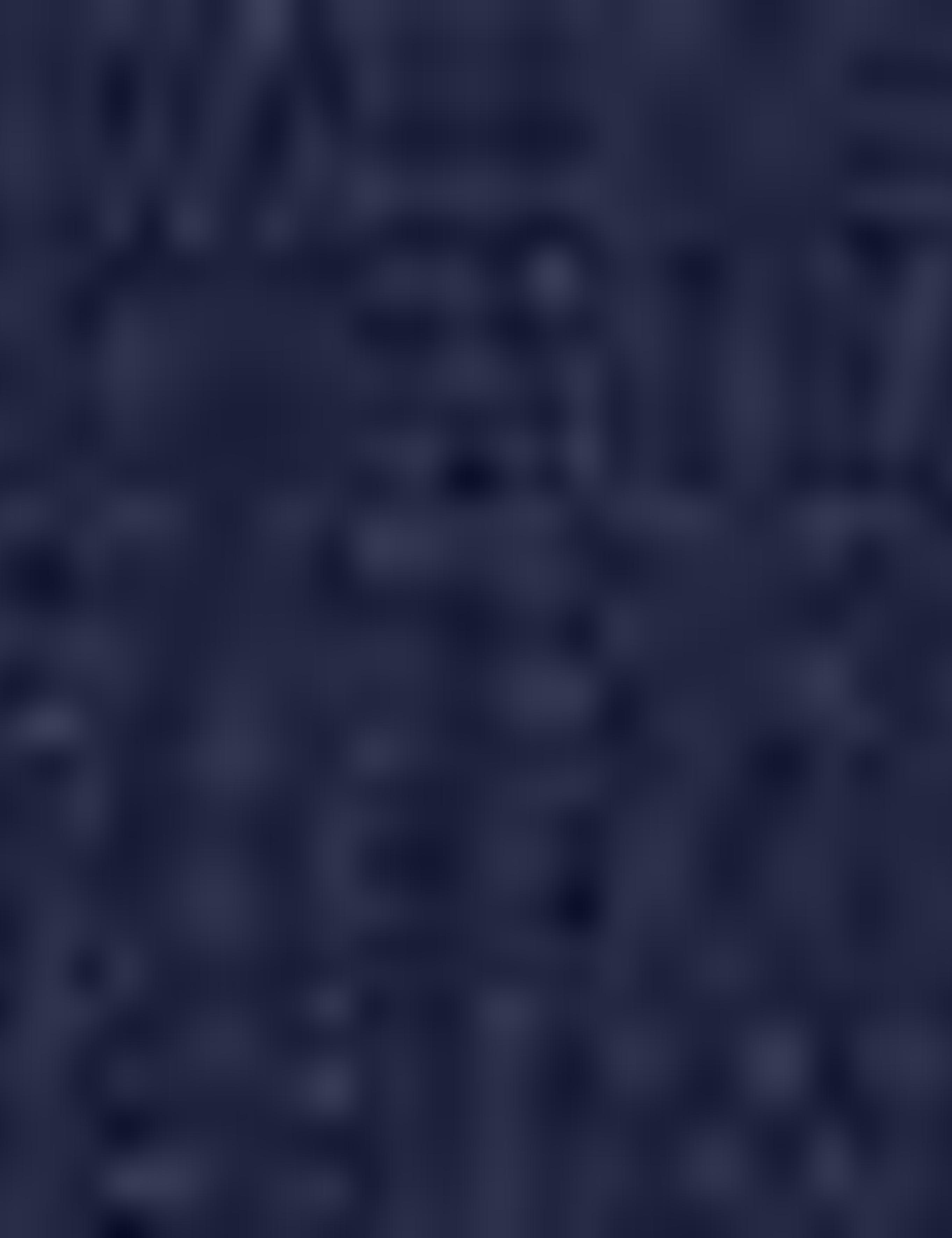 Lacivert Slim Fit Ceket