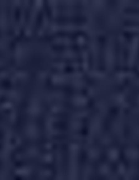 Lacivert Slim Fit Ceket - 50205359002