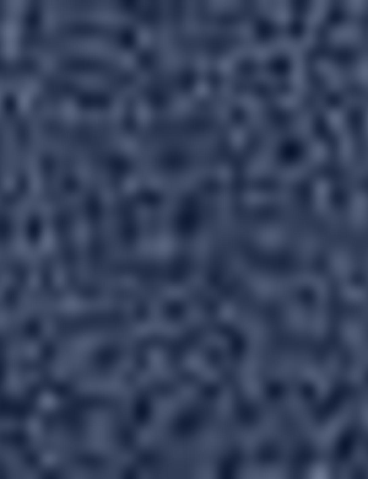 Indıgo Slim Fit Ceket - 50205359128