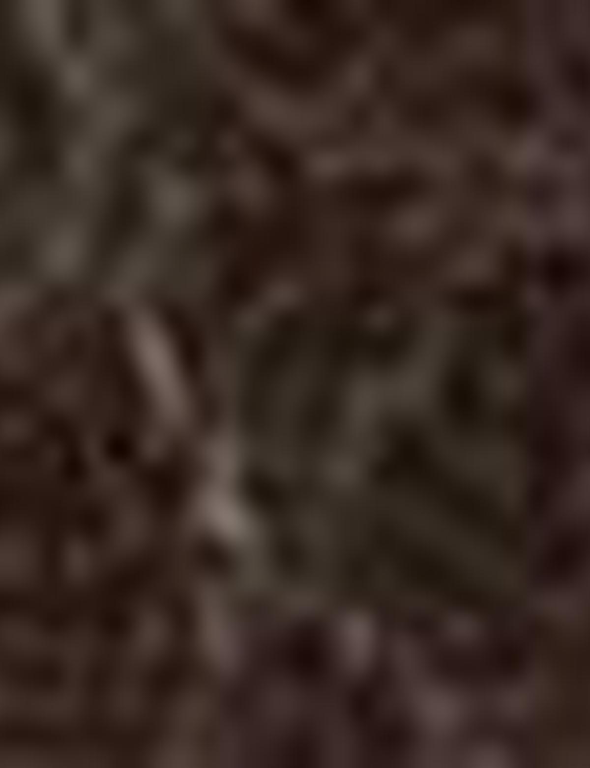 Kahverengi Cüzdan - 50222021003