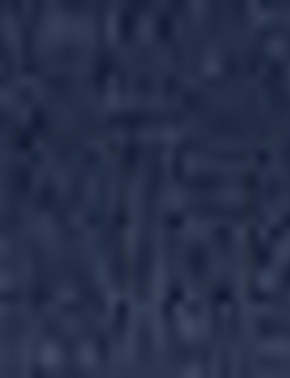 Lacivert Ceket - 50193023068