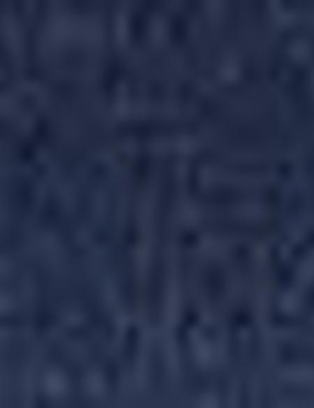 Lacivert Ceket - 50193023068