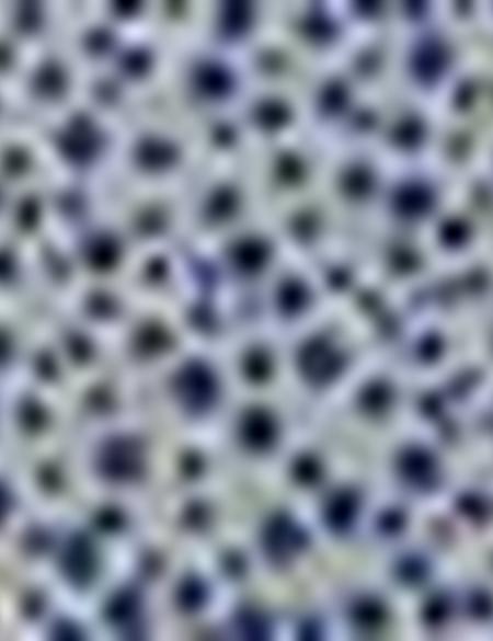 Mavi Slim Fit Uzun Kollu Gömlek - 50195893017