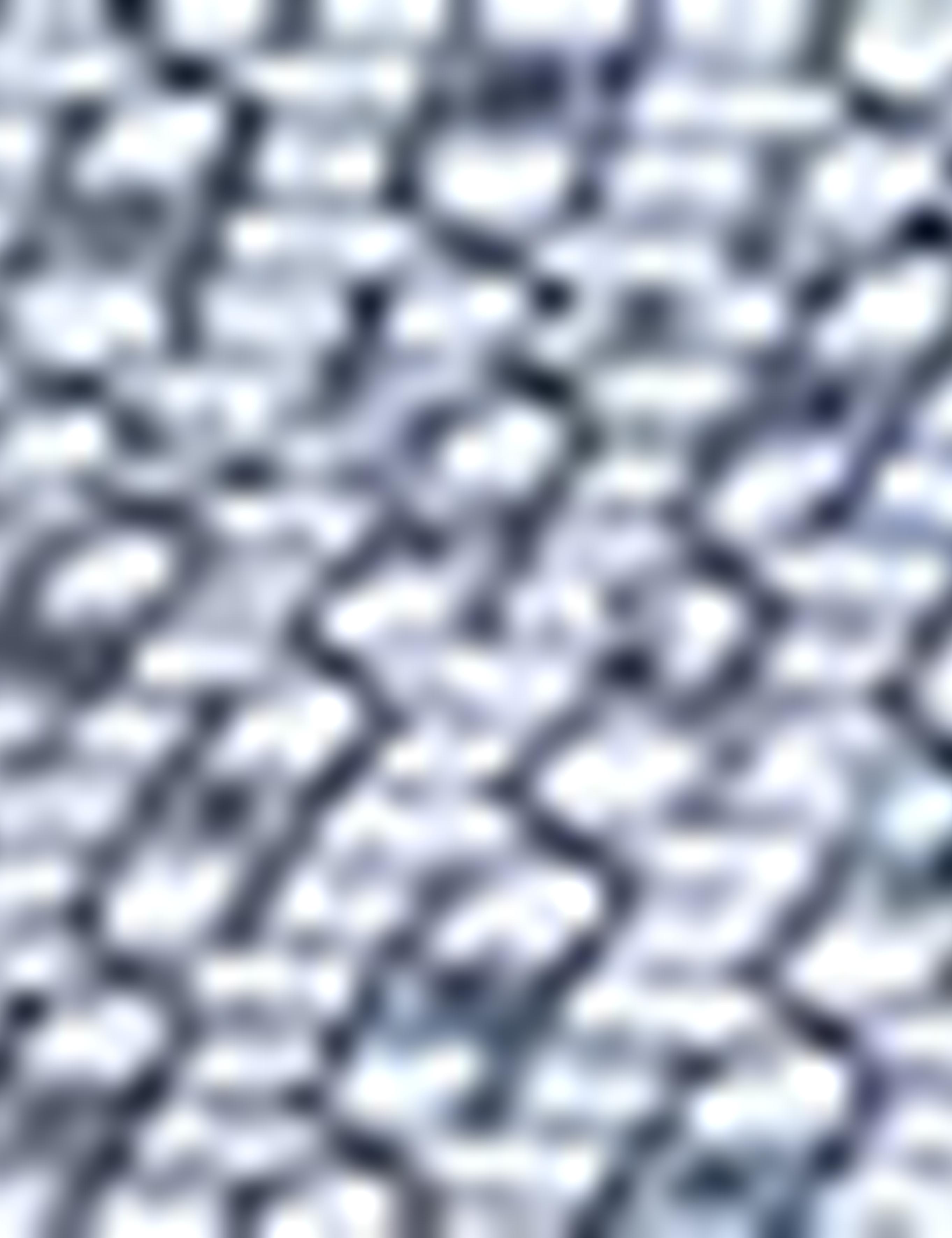 Siyah Detaylı Slim Fit Gömlek