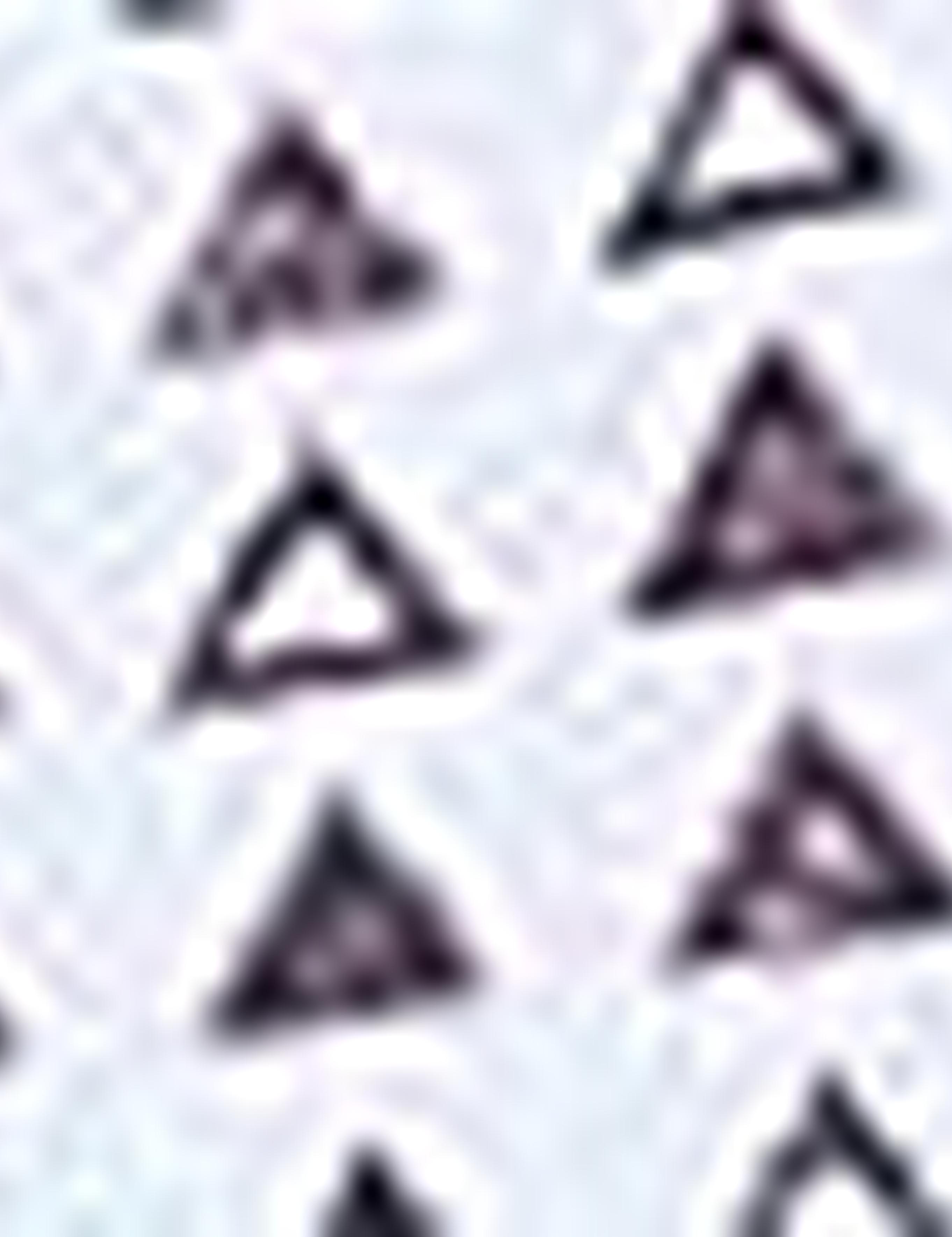 Bordo Regular Fit Uzun Kollu Gömlek