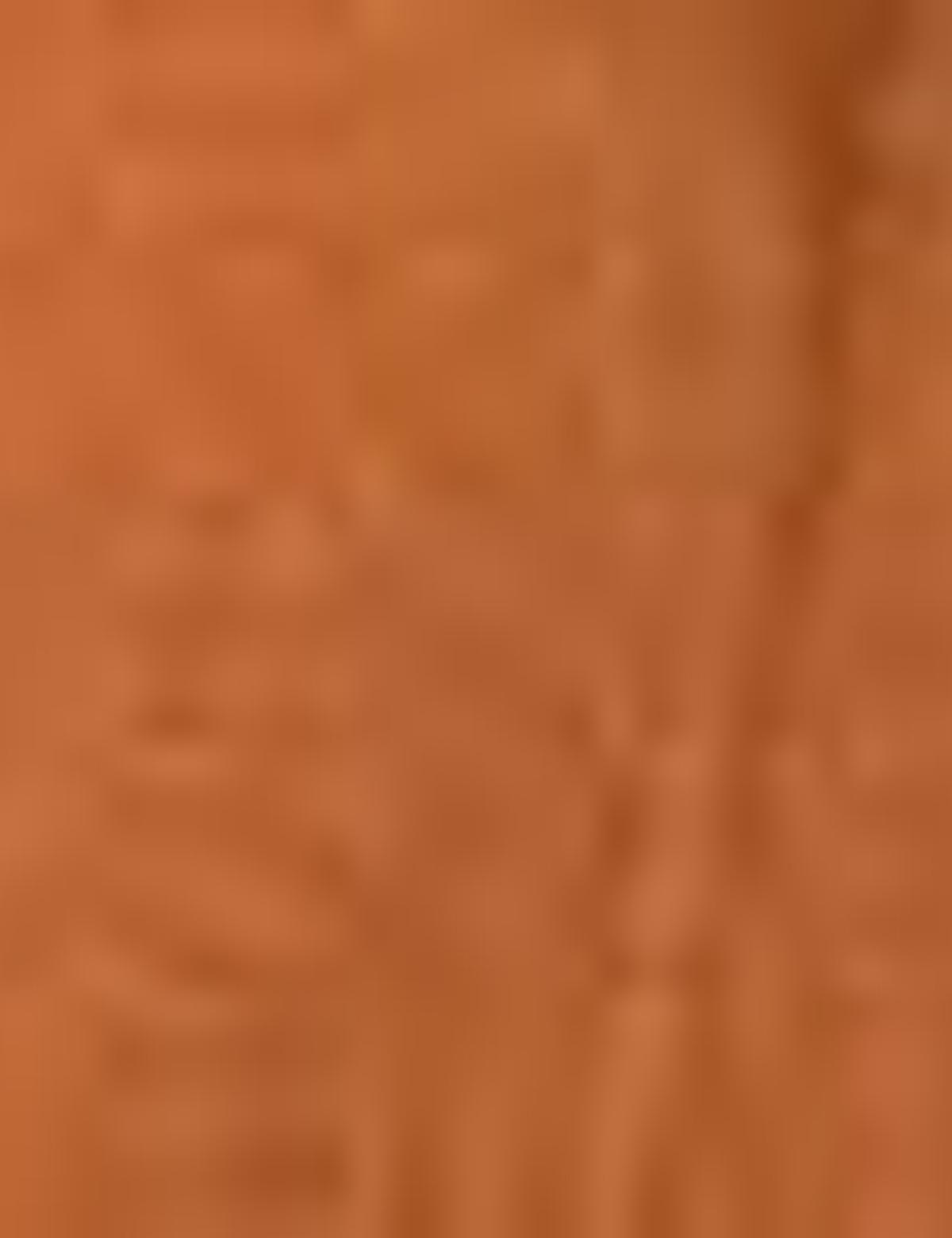 Kiremit Comfort Fit Uzun Kollu Gömlek - 50197267080