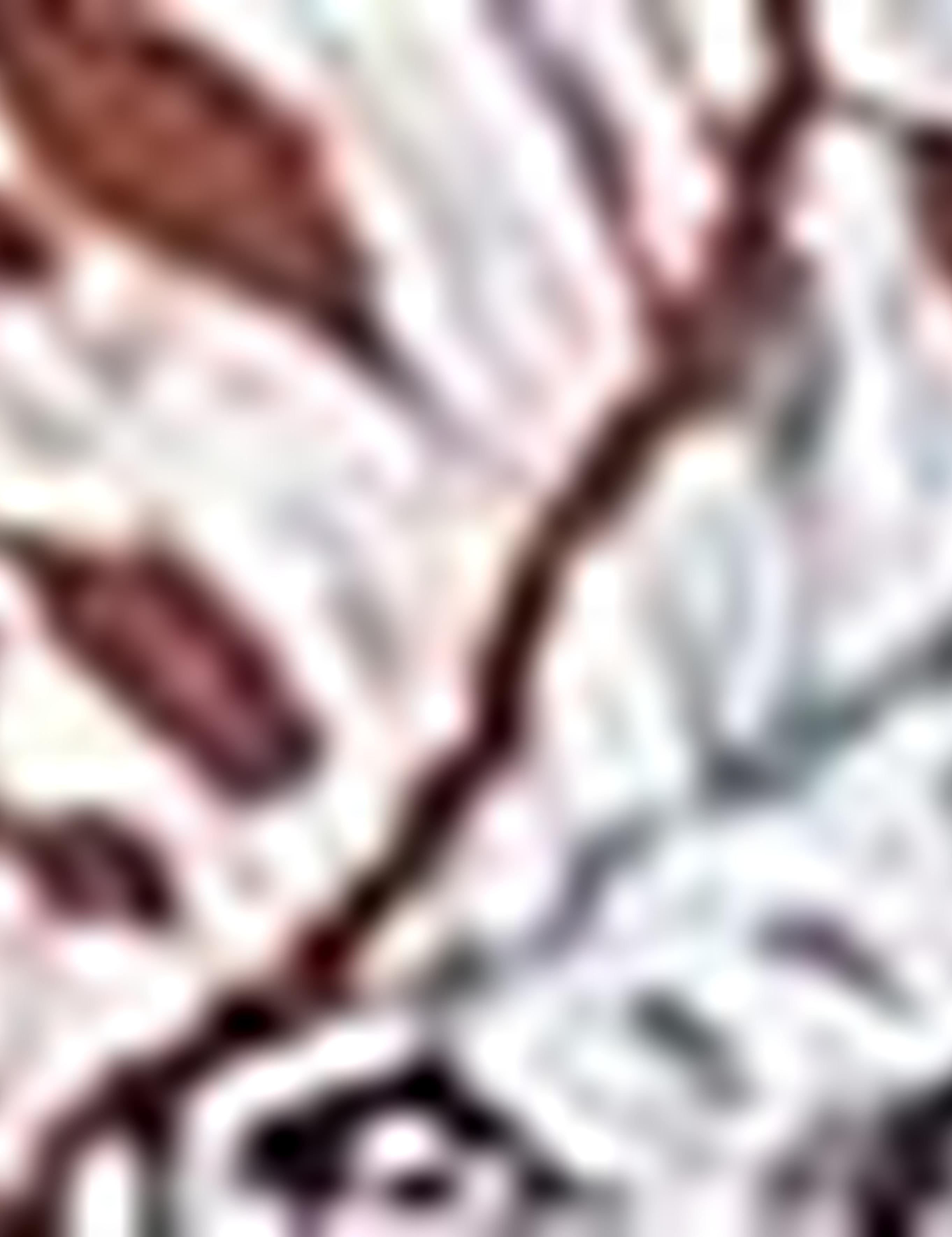 Taba Slim Fit Tişört