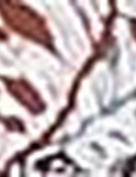 Taba Slim Fit Tişört - 50200164017