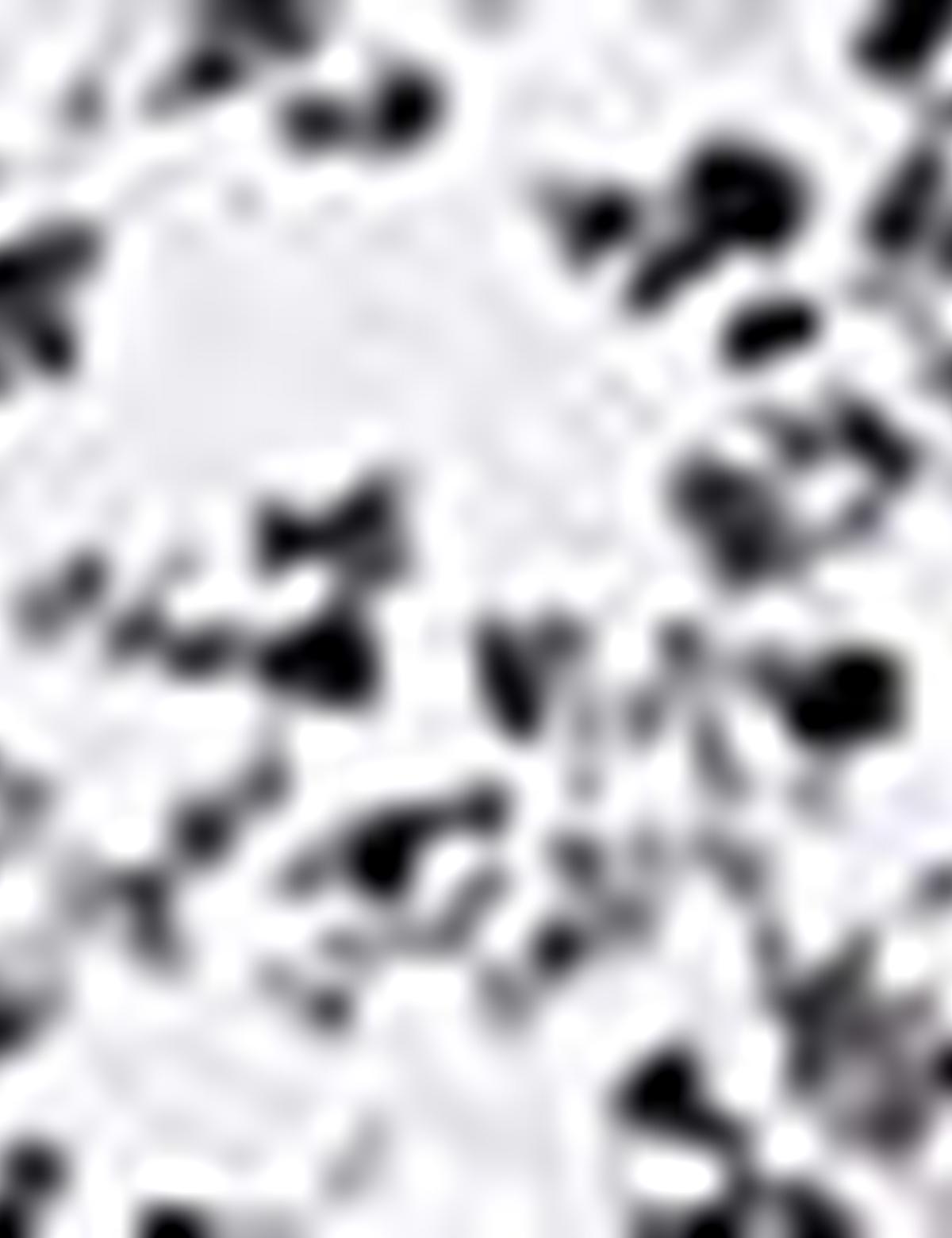 Beyaz Slim Fit Tişört - 50200165008