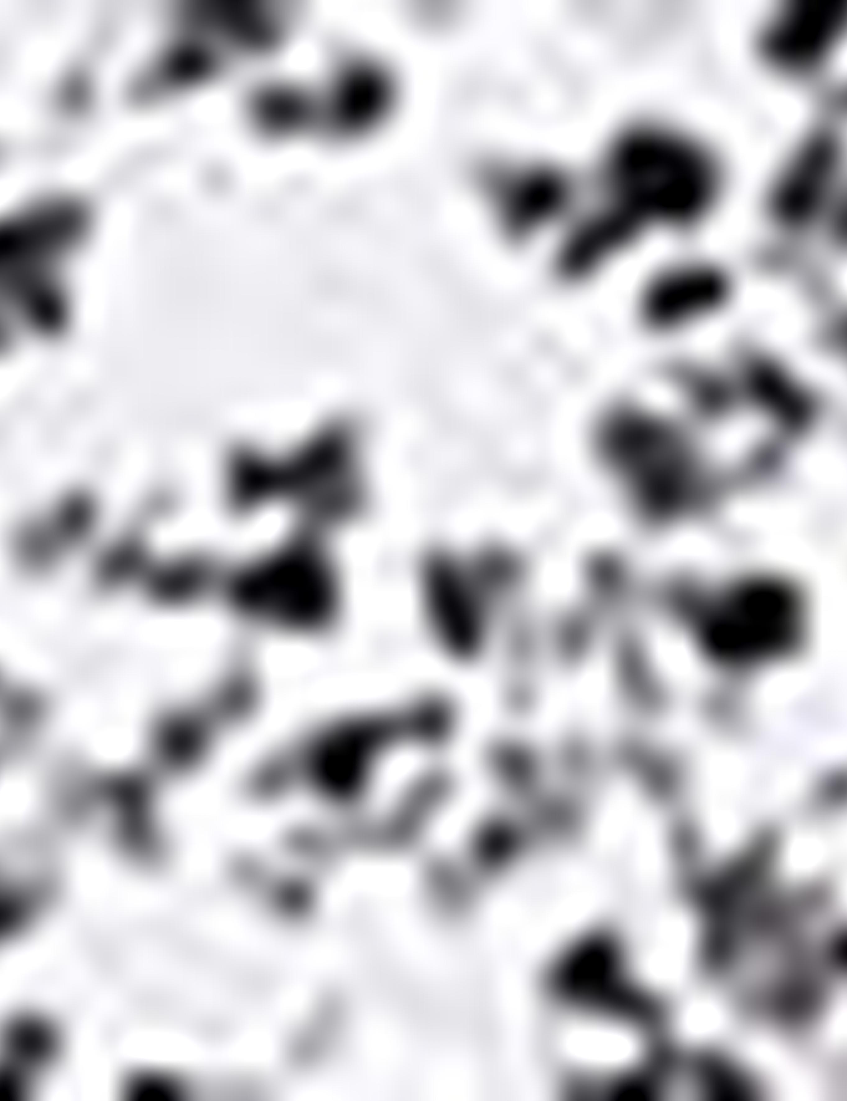 Beyaz Slim Fit Tişört