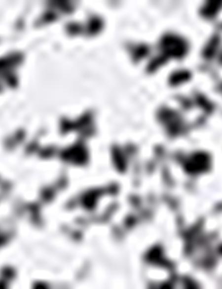 Beyaz Slim Fit Tişört - 50200165008