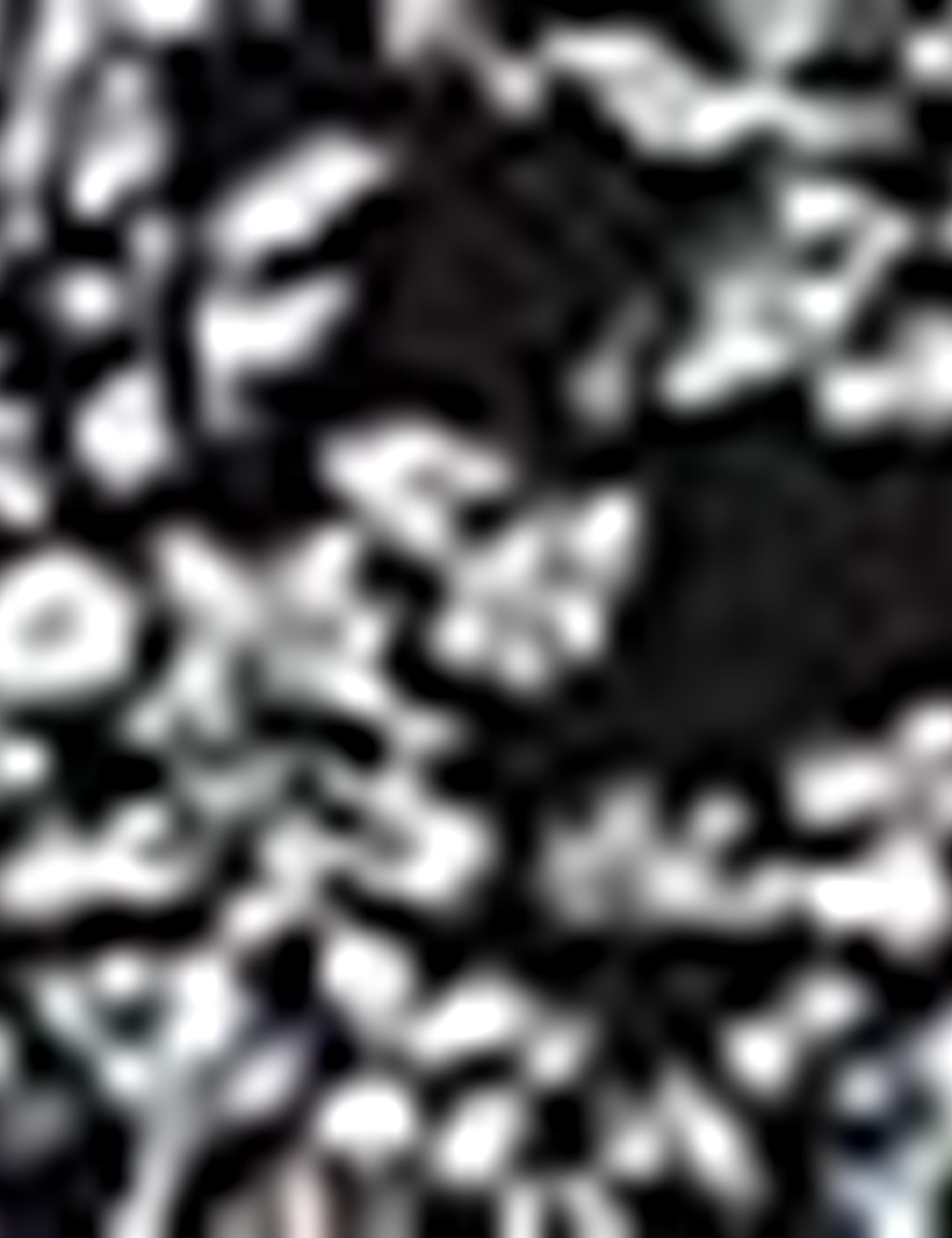 Siyah Slim Fit T-shirt