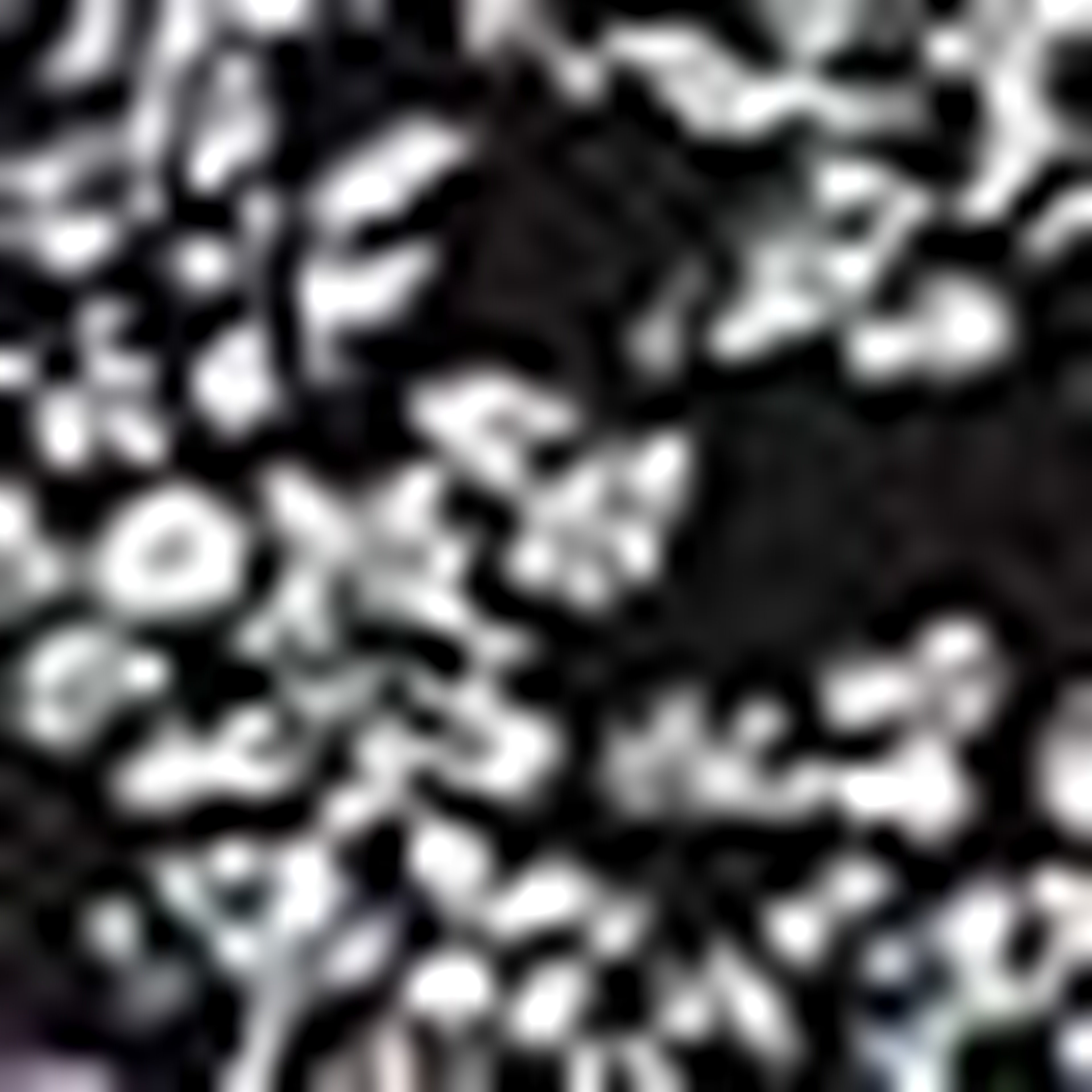Siyah Slim Fit T-shirt - Image 5