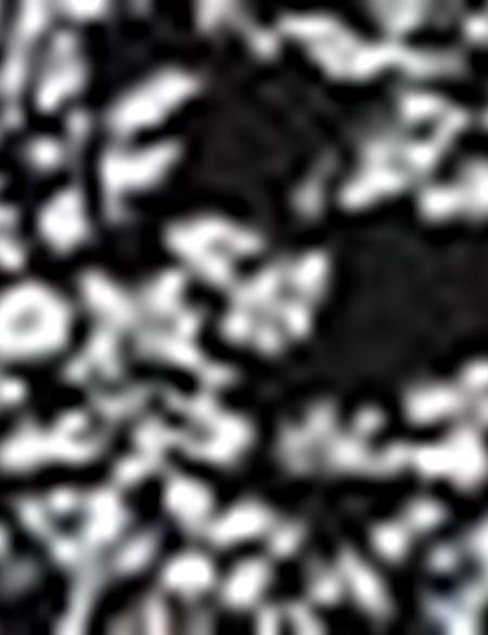 Siyah Slim Fit T-shirt - 50200165014