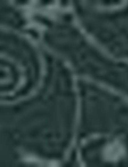 Koyu Yeşil Slim Fit Polo Yaka T-Shirt - 50200173010