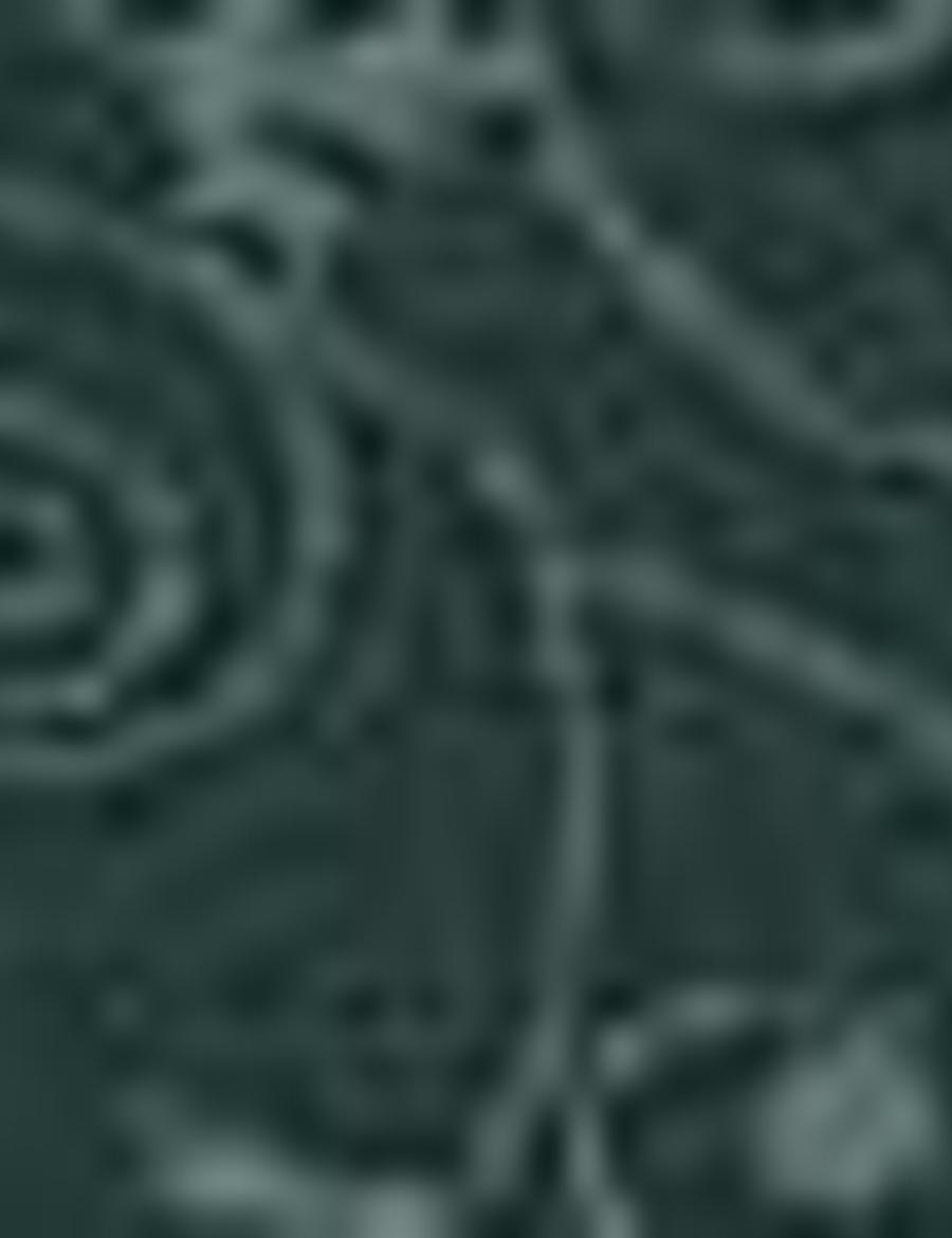 Koyu Yeşil Slim Fit Polo Yaka T-Shirt