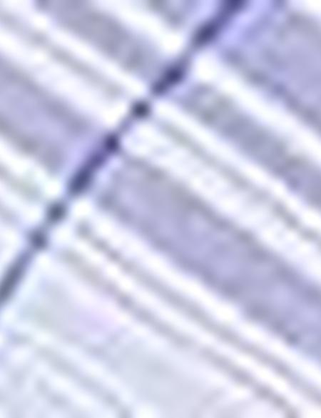 Mavi Slim Fit Uzun Kollu Gömlek - 50200514005