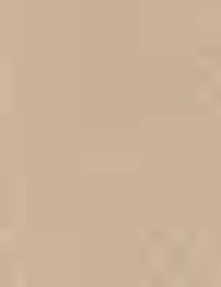 Camel Slim Fit Kanvas Pantolon - 50202368114