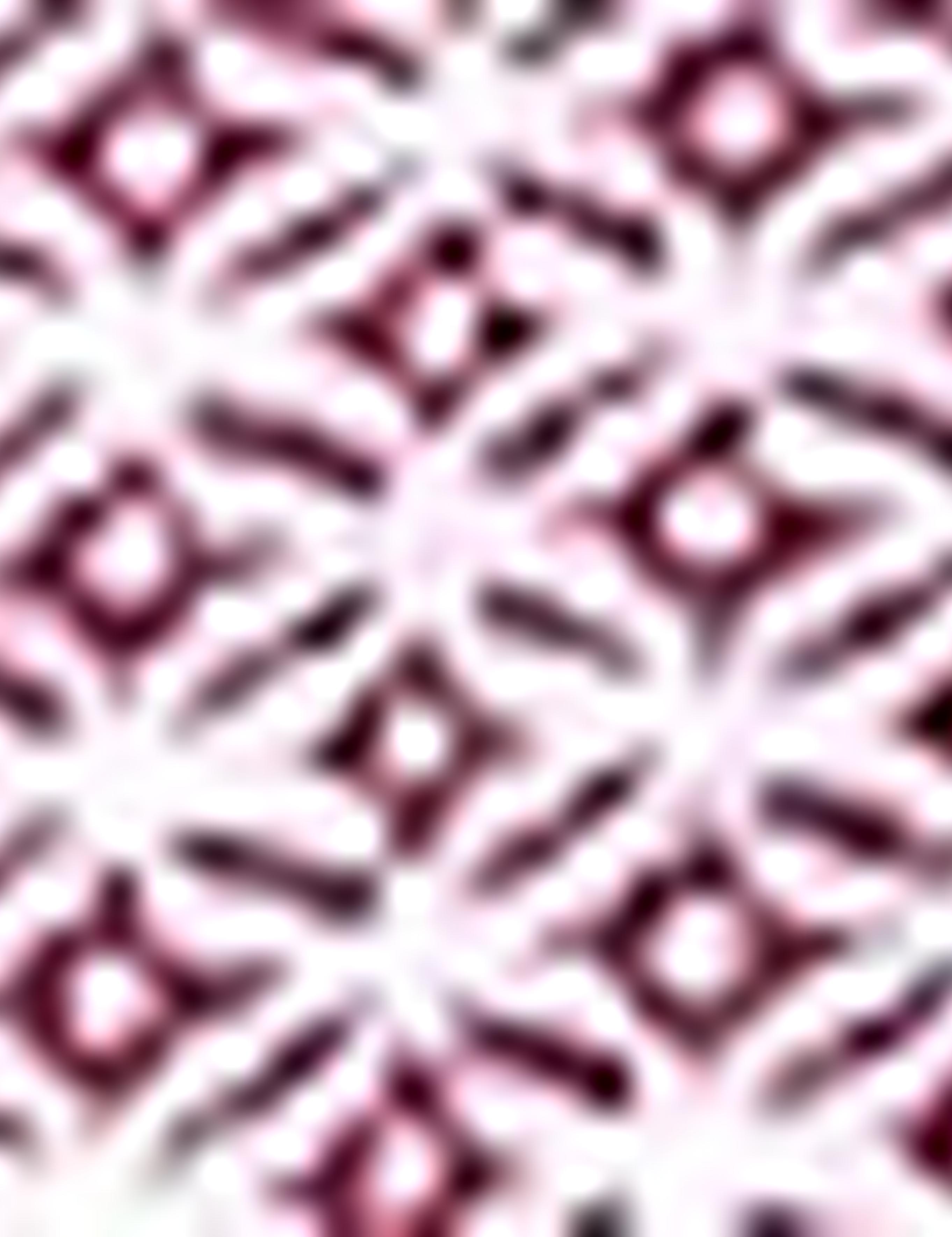 Kiremit Slim Fit Polo Yaka T-Shirt