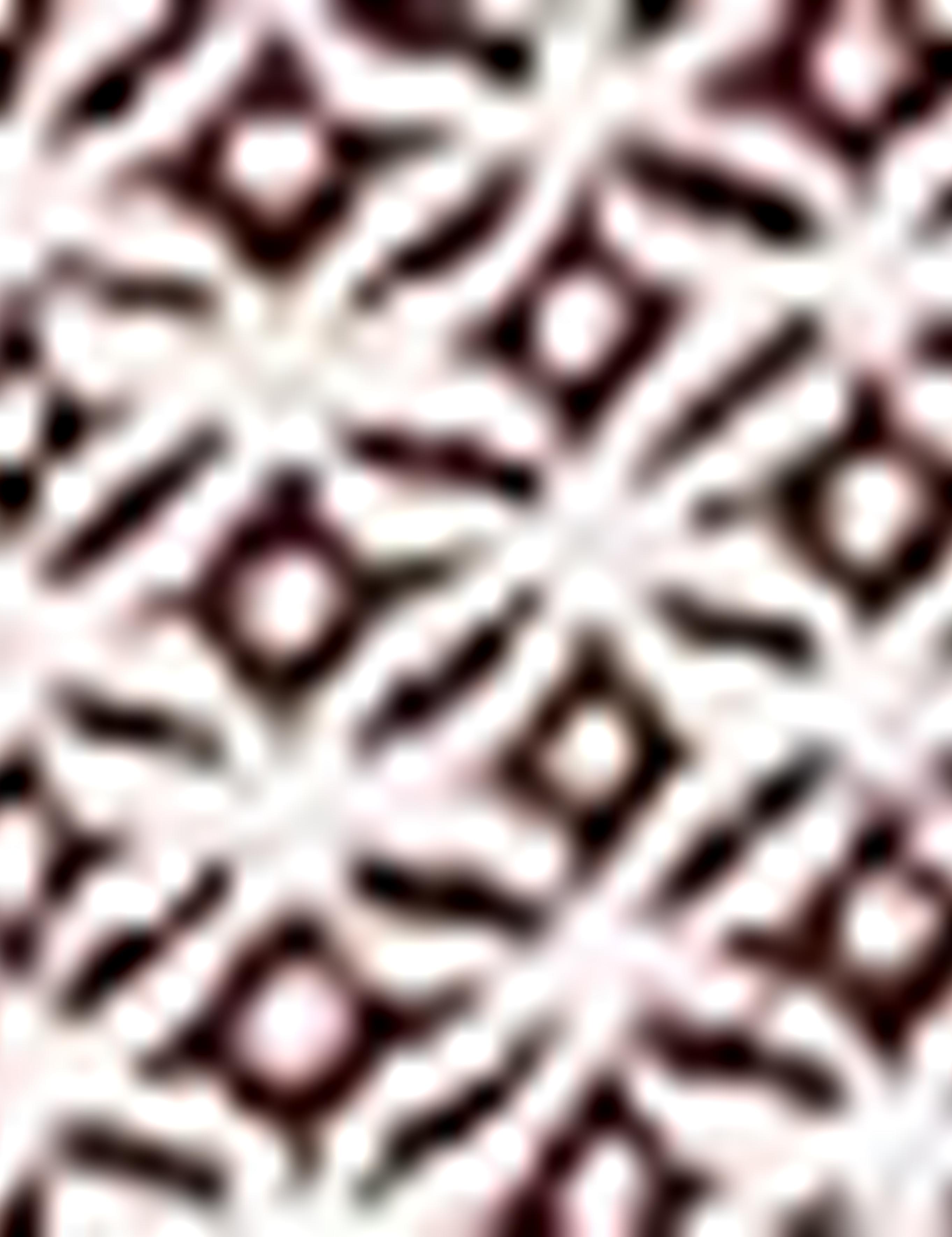 Kahverengi Slim Fit Polo Yaka T-Shirt