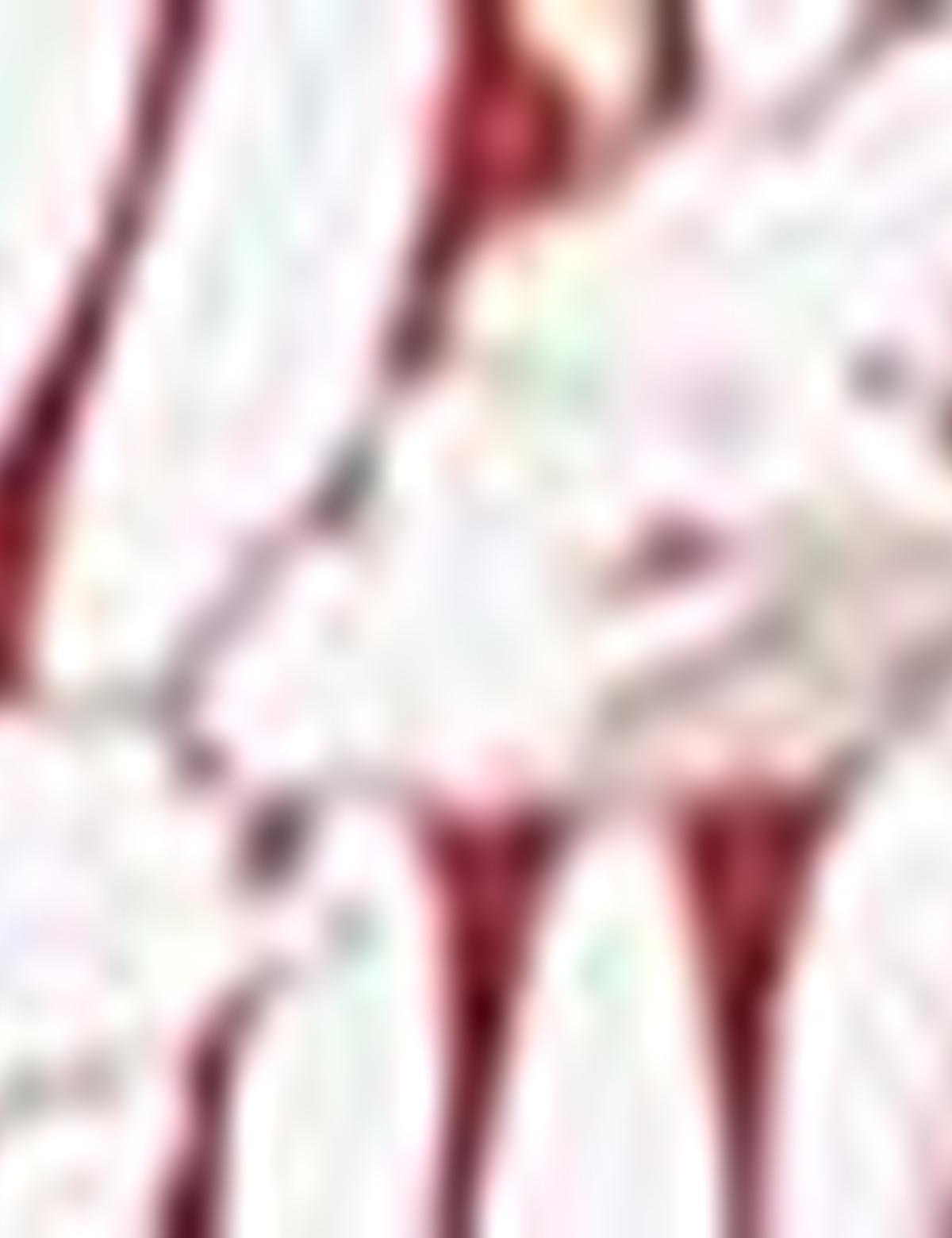 Kiremit Slim Fit Polo Yaka Tişört - 50202701009