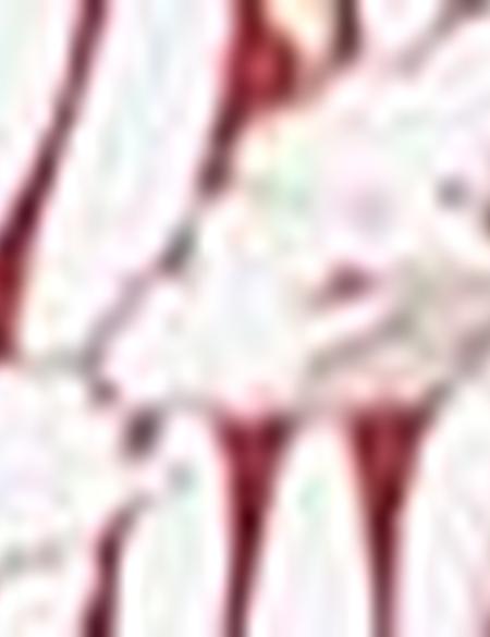 Kiremit Slim Fit Polo Yaka Tişört - 50202701009