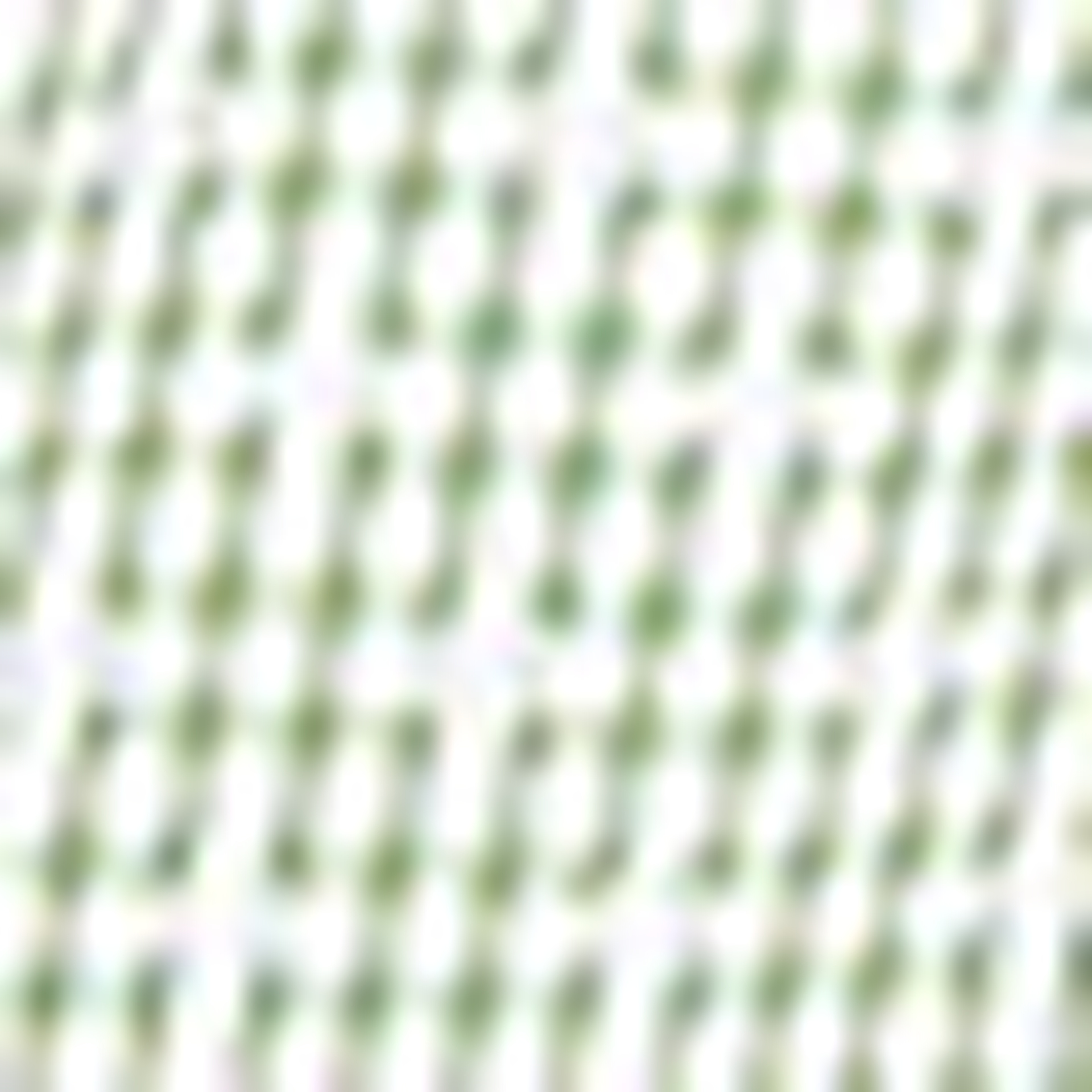 Yeşil Slim Fit Gömlek - Image 7