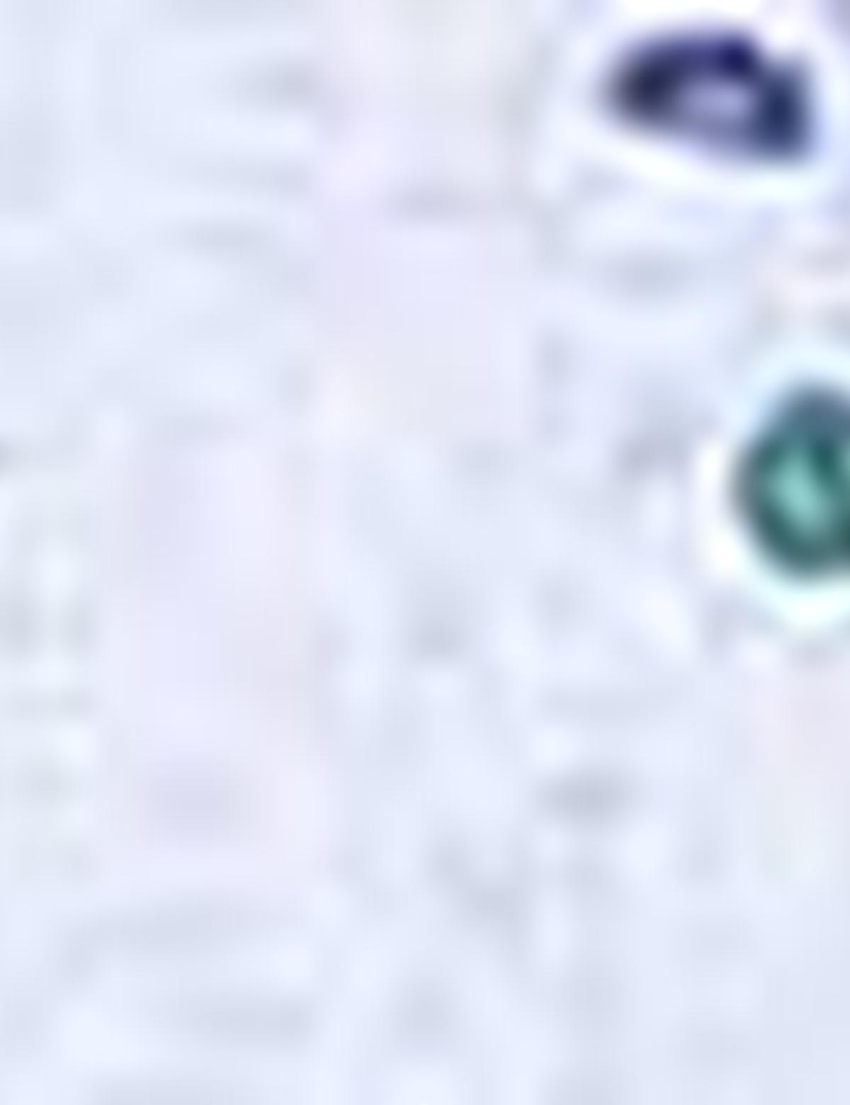 Mavi Slim Fit Uzun Kollu Gömlek - 50203561014