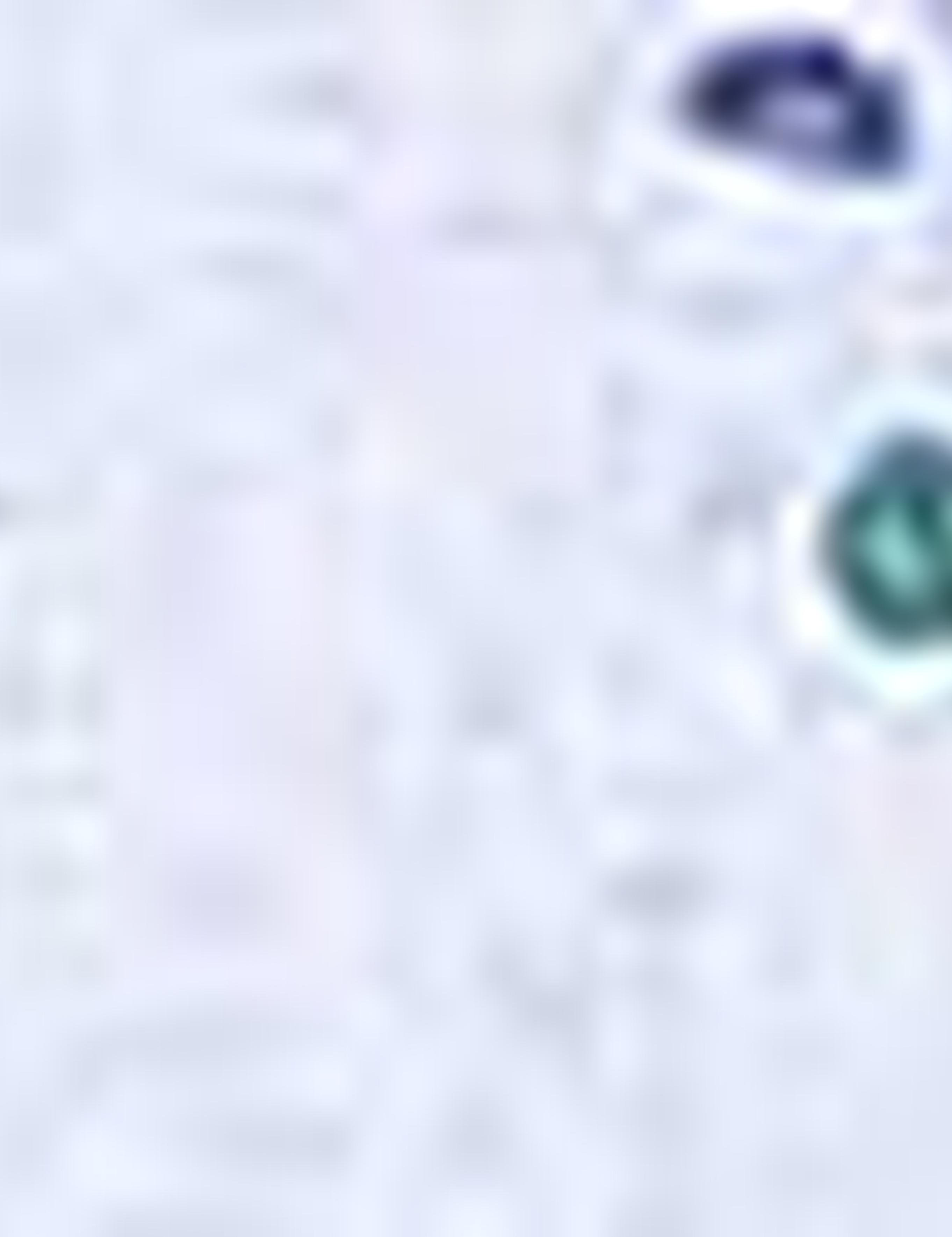 Mavi Slim Fit Uzun Kollu Gömlek