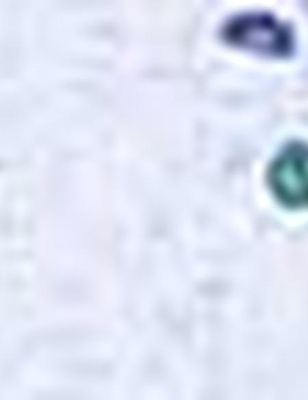 Mavi Slim Fit Uzun Kollu Gömlek - 50203561014