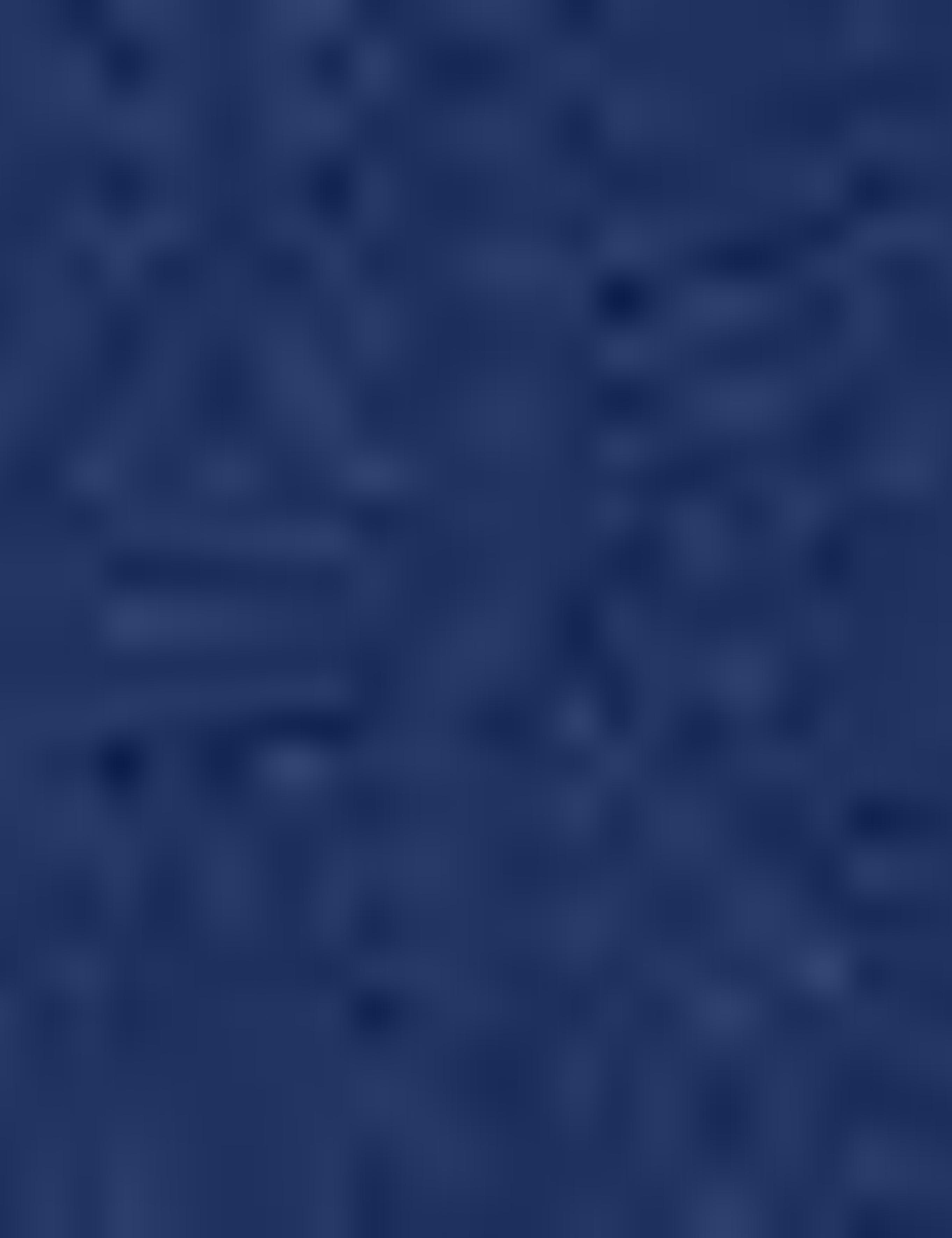 Lacivert Slim Fit Basic Tişört