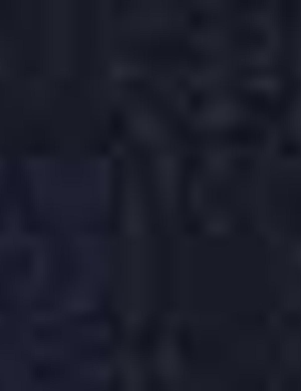 Koyu Lacivert Slim Fit Ceket - 50203760003