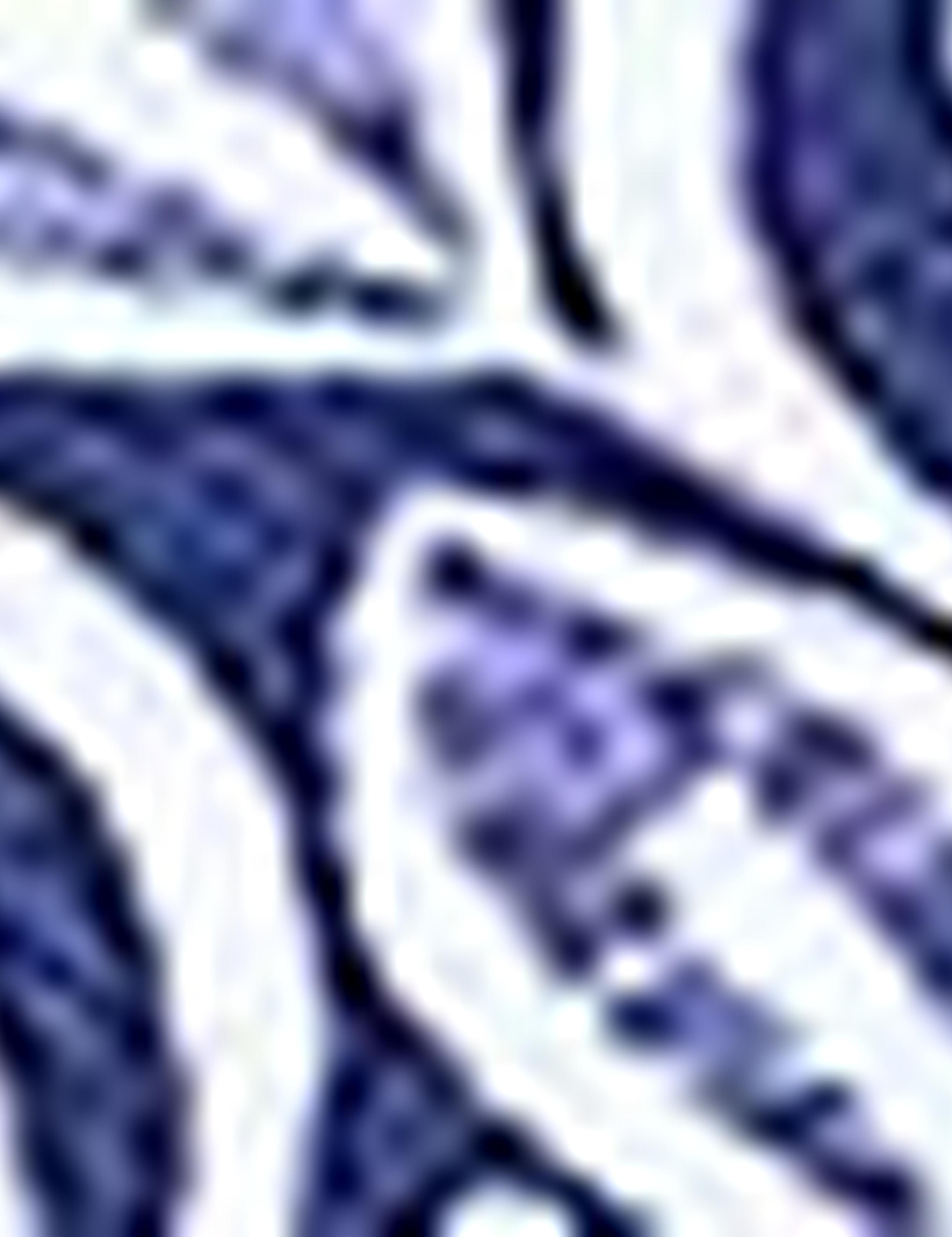 Lacivert Slim Fit Polo Yaka T-Shirt