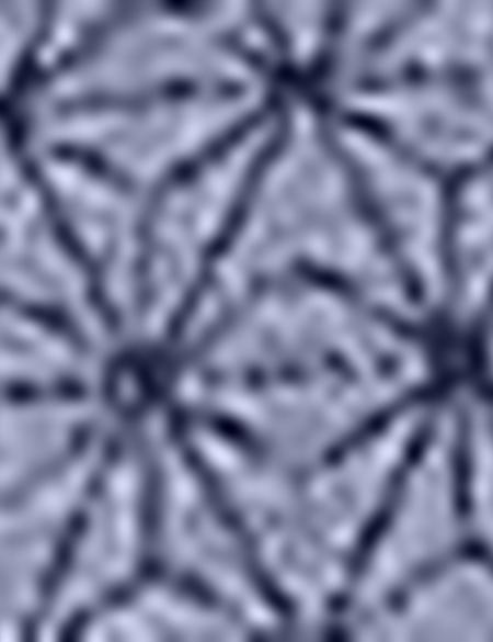 Lacivert Slim Fit Polo Yaka T-Shirt - 50204376002