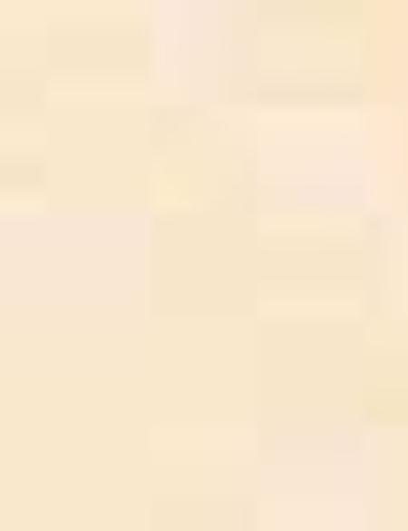 Turuncu Comfort Fit Bluz - 50204428008