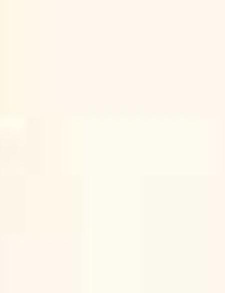 Sarı Kolsuz Bluz - 50204431003