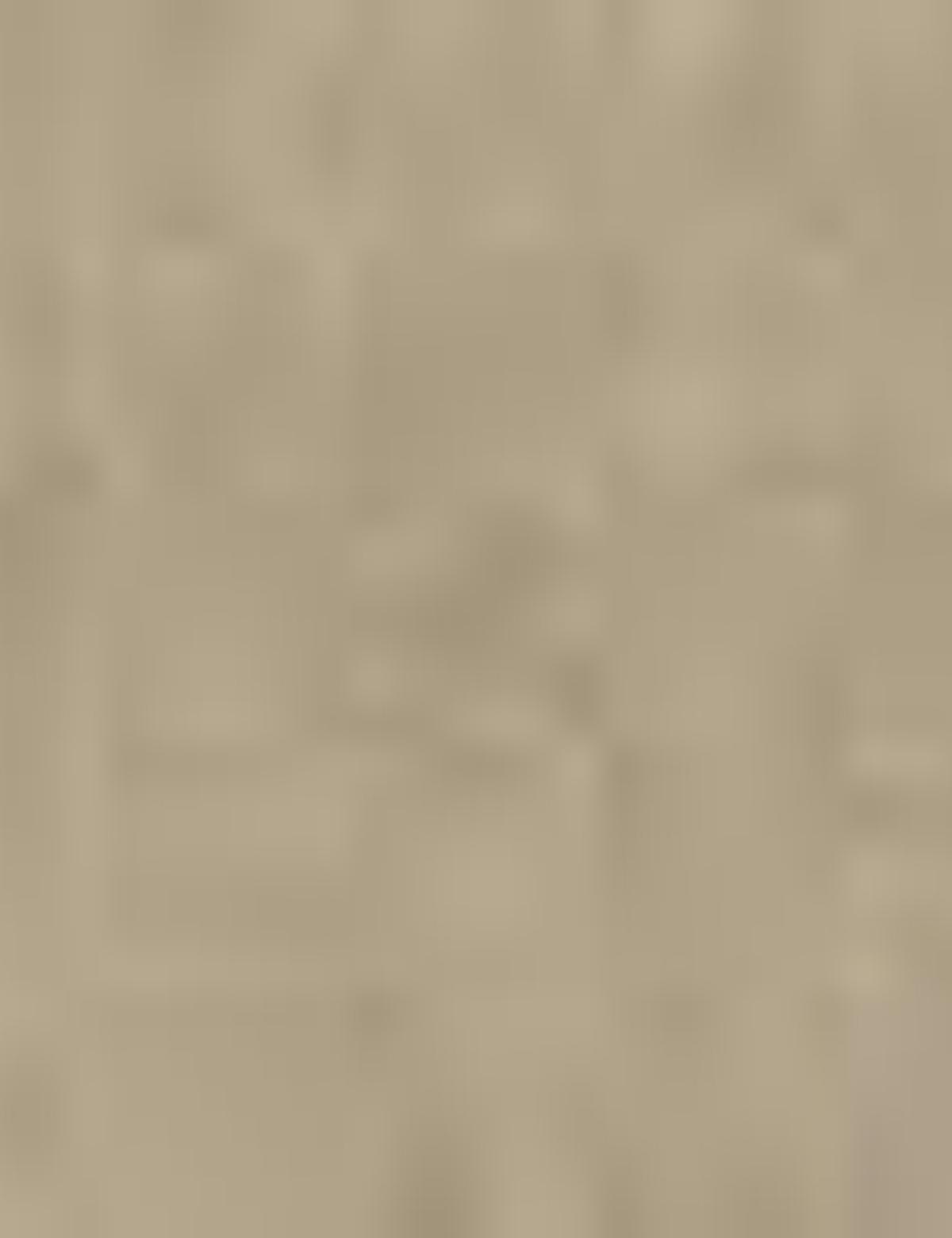 Camel Slim Fit Denim Pantolon - 50204496006