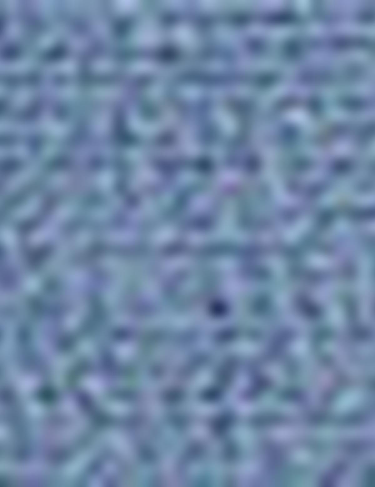 Koyu Mavi Straight Fit Denim Pantolon - 50204498005