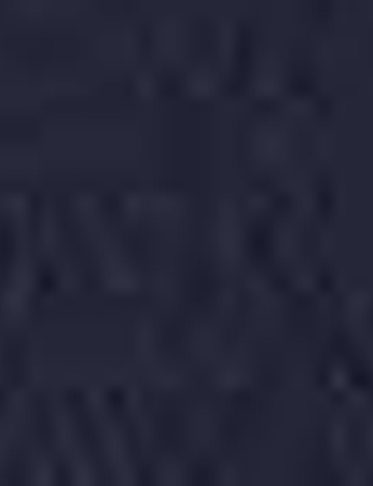 Lacivert Standart Fit Bermuda Şort - 50204615008