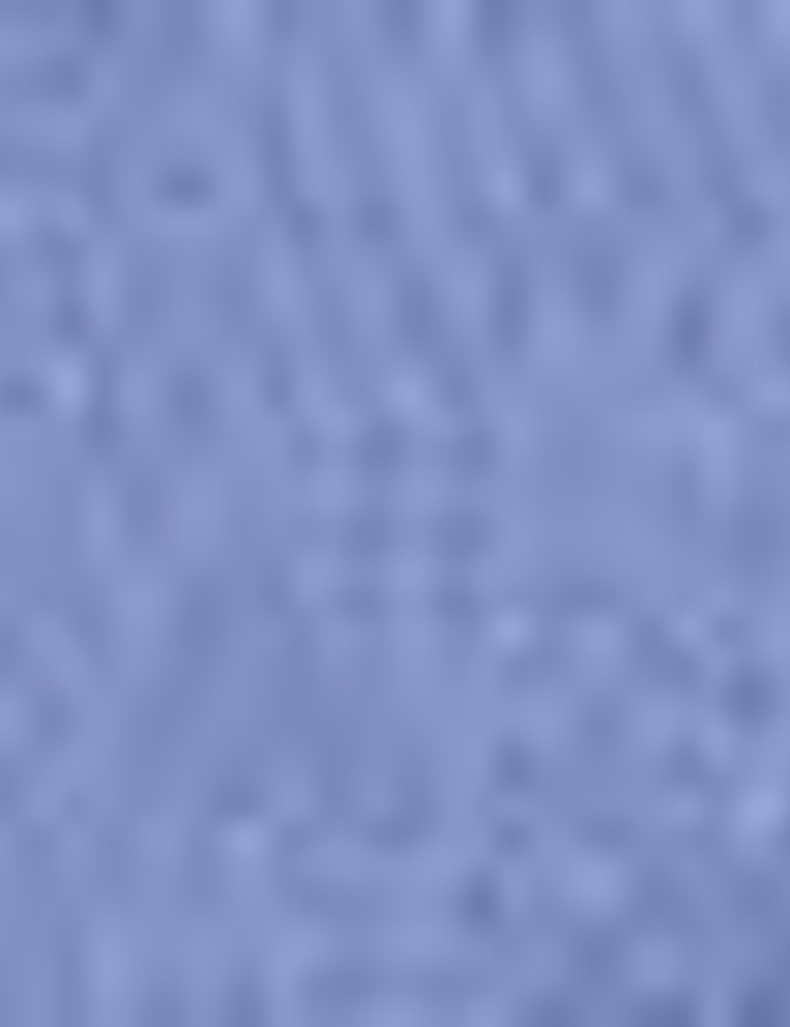 Mavi Standart Fit Bermuda Şort