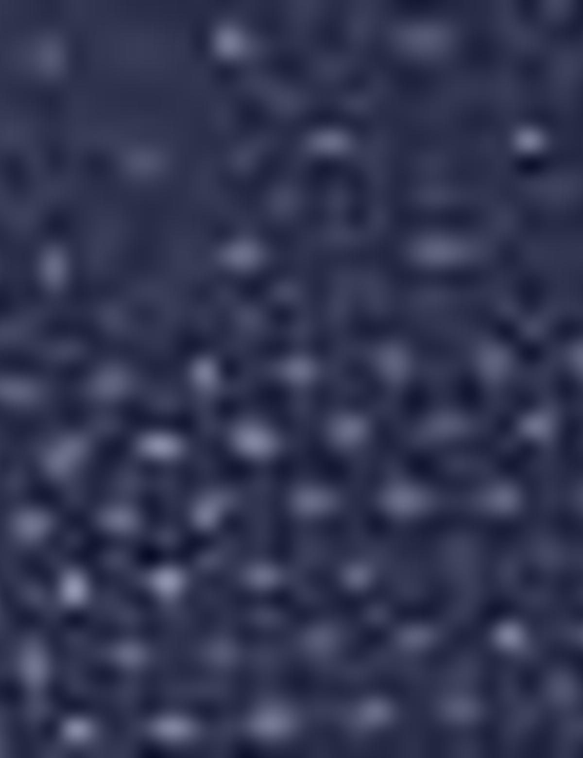 Lacivert Slim Fit Gömlek - 50204616001