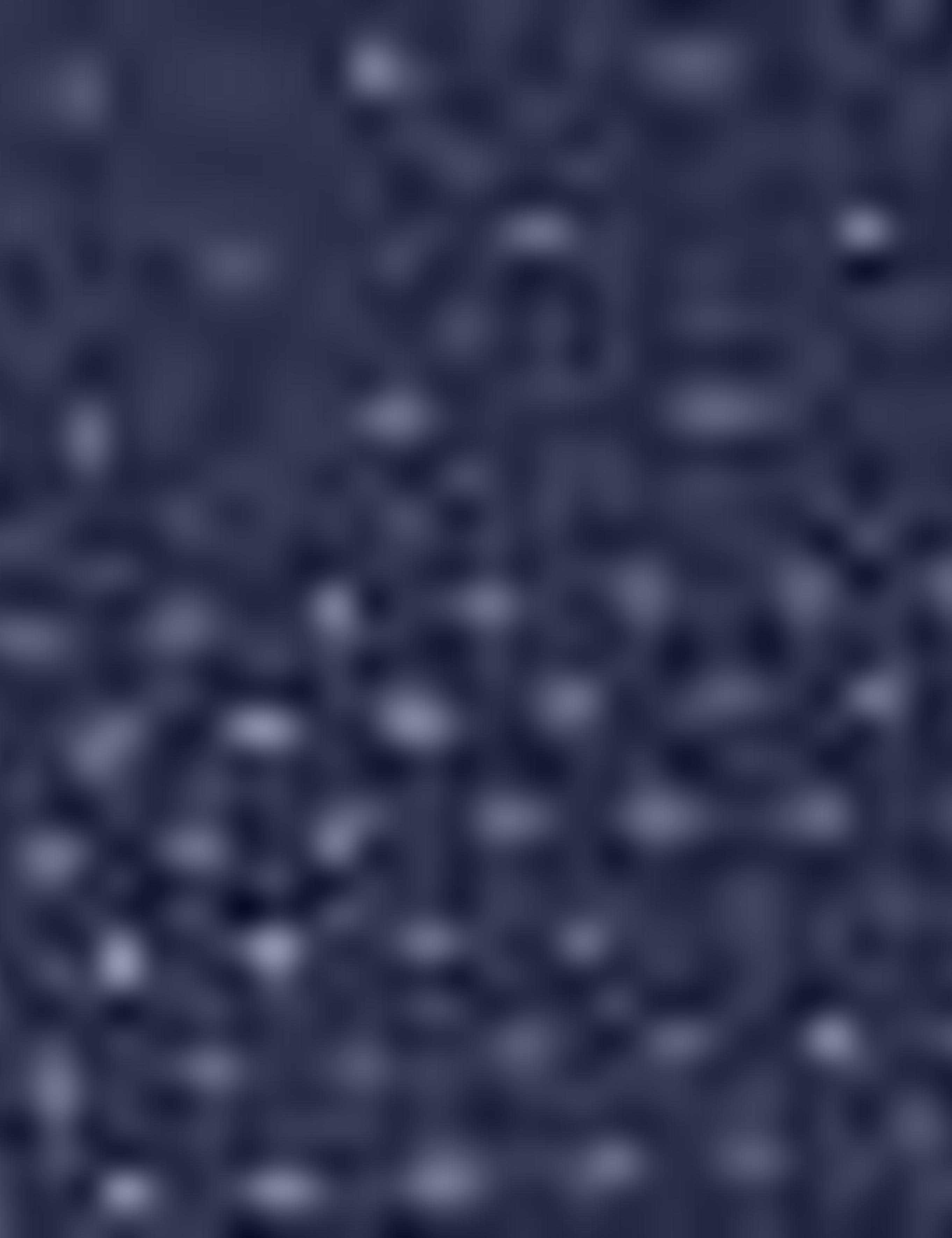 Lacivert Slim Fit Gömlek