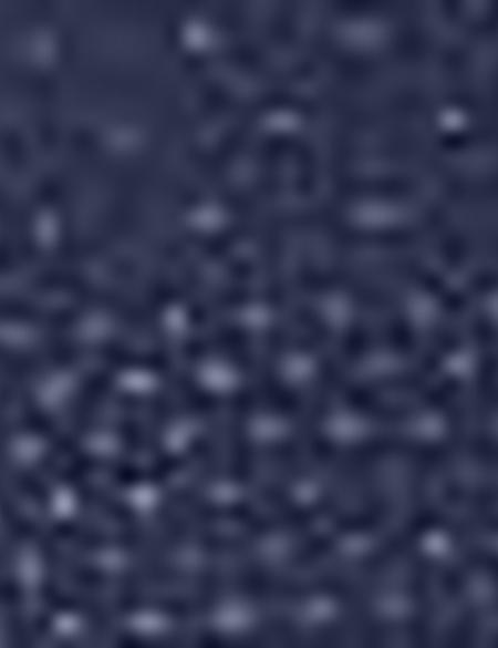 Lacivert Slim Fit Gömlek - 50204616001