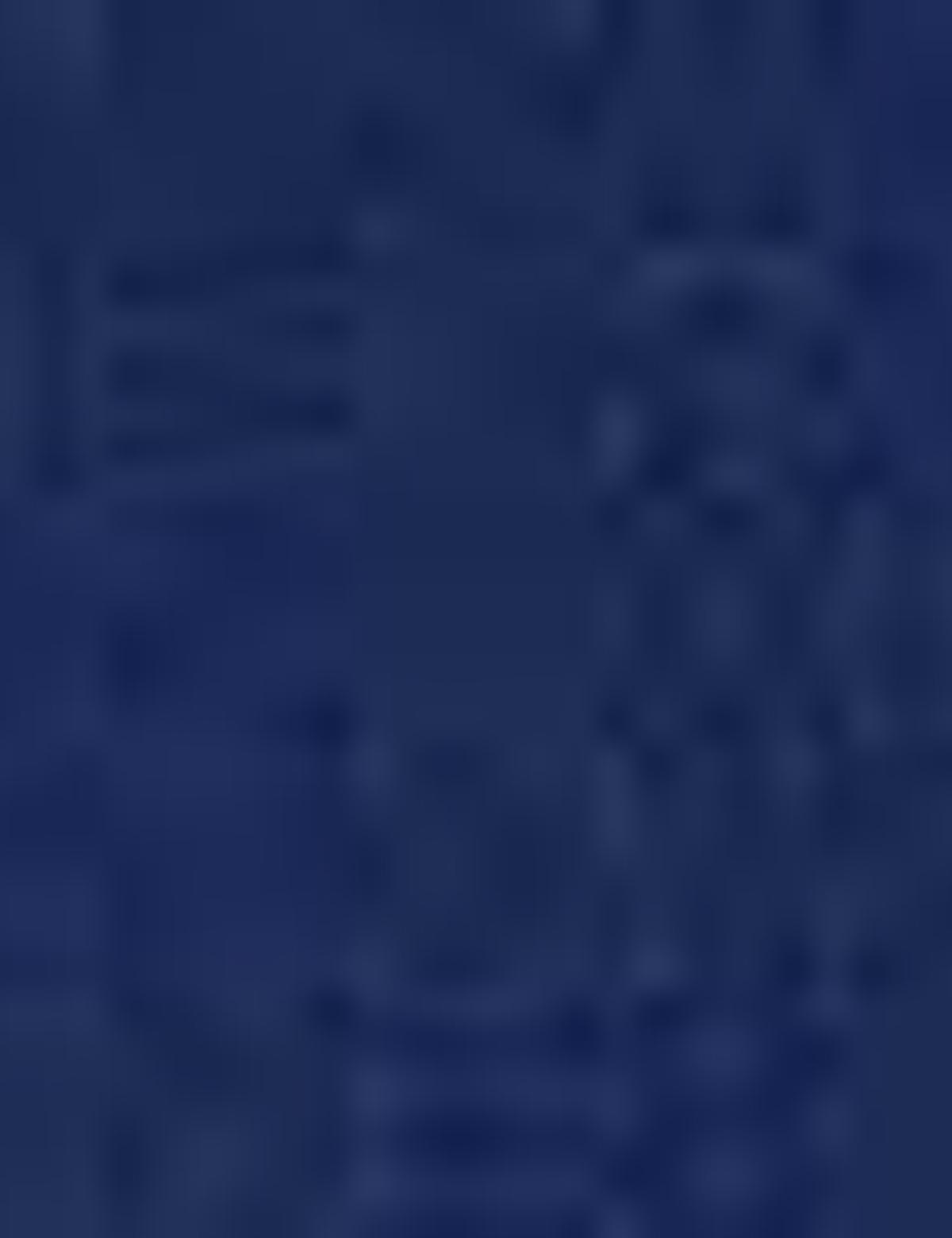 Lacivert Regular Fit Polo Yaka T-Shirt - 50204835038