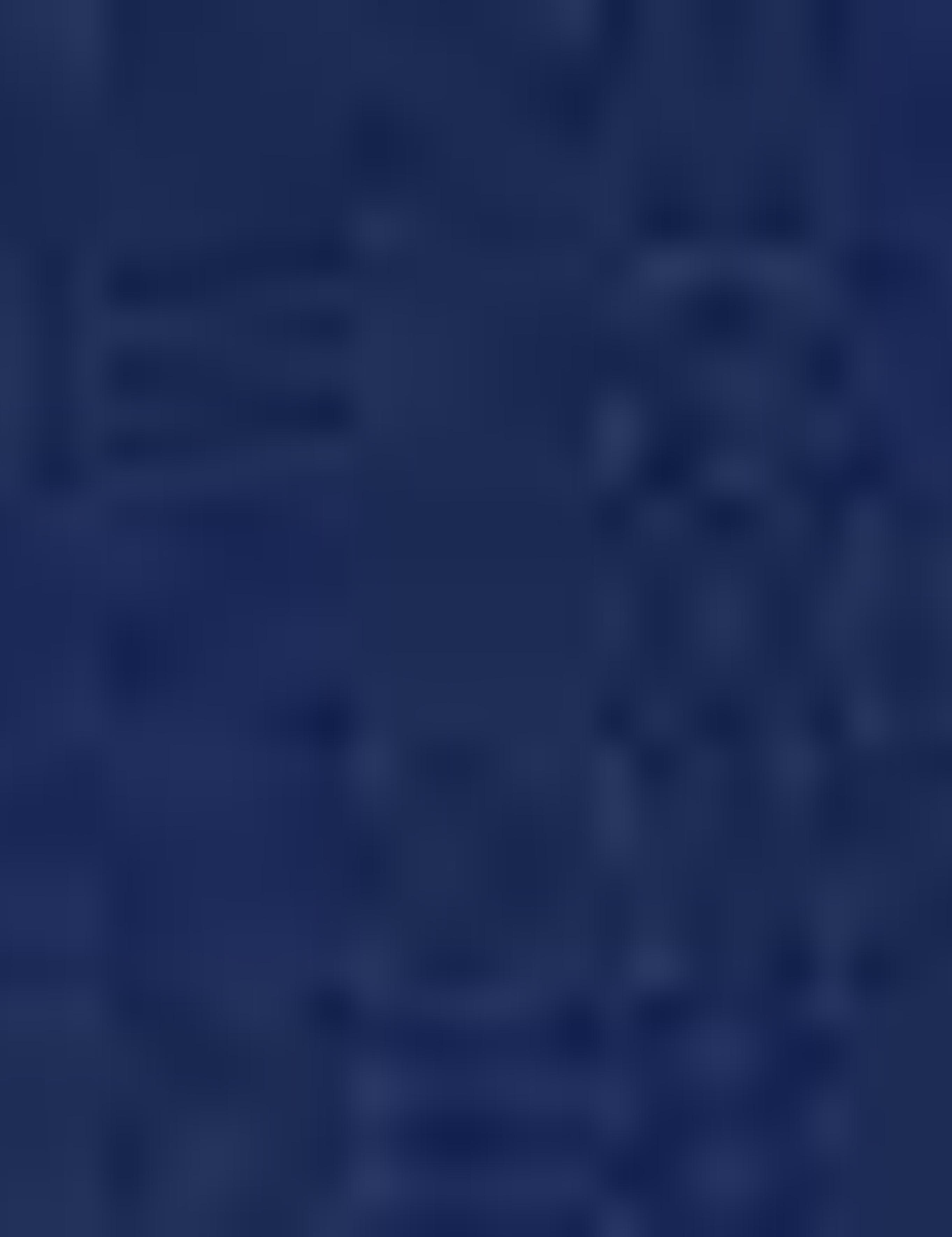 Lacivert Regular Fit Polo Yaka T-Shirt